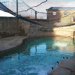 Sealion Centre saltwater pool 4th January 2013