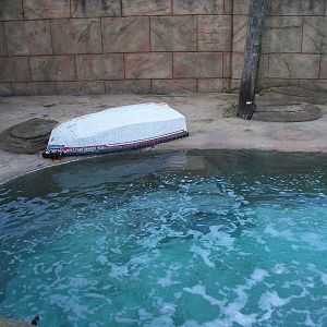Sealion Centre saltwater pool 4th January 2013