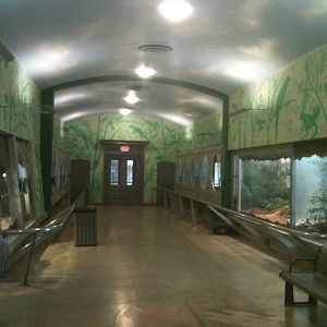 Reptiles & Birds/ formerly the perching bird house.