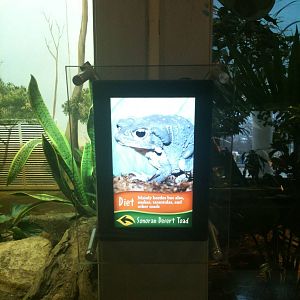 Reptiles & Birds/ formerly the perching bird house.