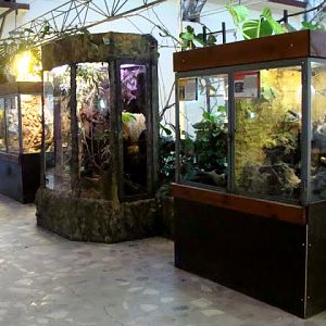 Terrariums