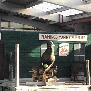 Clive 4th January 2013