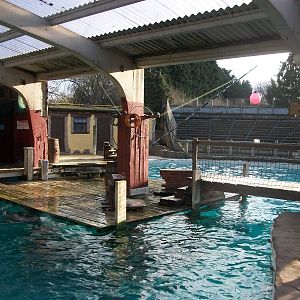 Another view of where Cuddles cavorted 4th January 2013