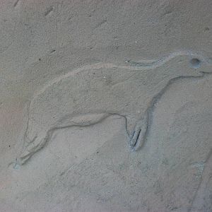 Decoration on Sealion Centre wall 4th January 2013