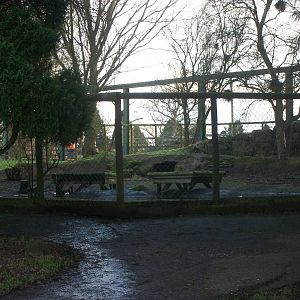 Soon to be demolished? 4th January 2013