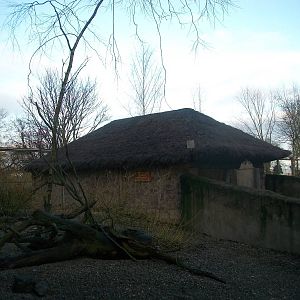 Soon to be demolished? 4th January 2013