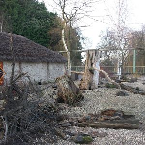 Soon to be demolished? 4th January 2013