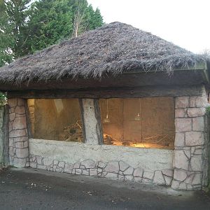 Soon to be demolished? 4th January 2013