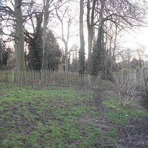 Where the Huskies howled 4th January 2013