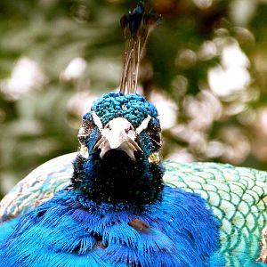 I Have My Eye On You!