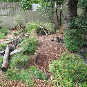 New Otter Exhibit - Auckland Zoo 2012