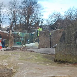 Penguins Rock - 08/01/13