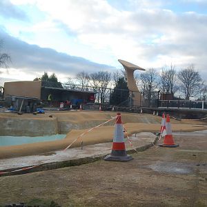 Penguins Rock - 08/01/13