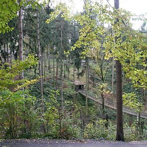 Japanese Macaque enclosure