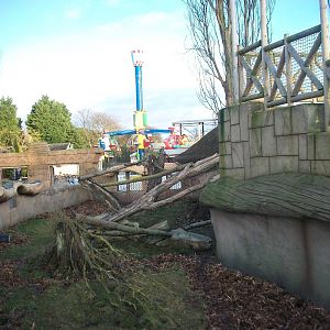 Children's Planet 4th January 2013