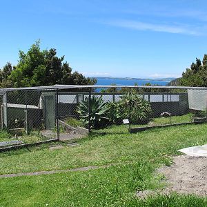 Tortoise Enclosures - Ti Point Reptile Park 2012