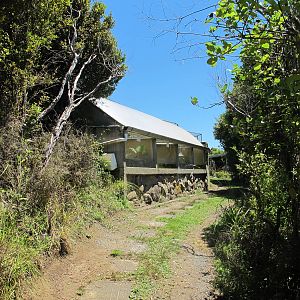 Terrariums - Ti Point Reptile Park 2012