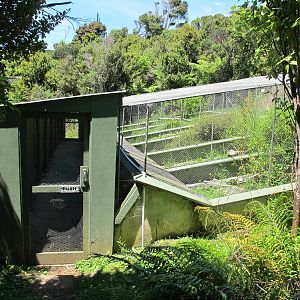 Native Reptile Exhibit - Ti Point Reptile Park 2012