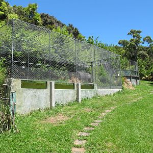 Alligator Exhibits - Ti Point Reptile Park 2012