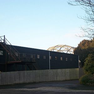 Site of 1960s cafeteria 4th January 2013