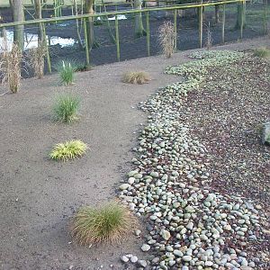 Beach area in Penguin exhibit 4th January 2013
