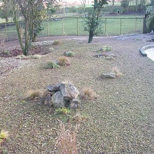 Beach area in Penguin exhibit 4th January 2013