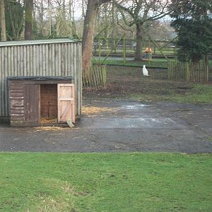 Site of 1960s Giraffe House 4th January 2013