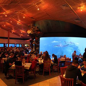 aquarium restaurant