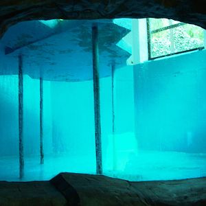 Sea Lion Pool at Usti, 29/08/12