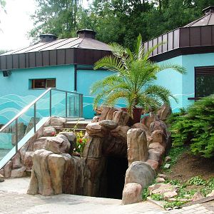 Sea Lion Pool at Usti, 29/08/12