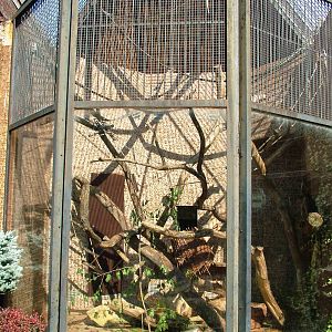 Small Primate Complex at Usti, 29/08/12