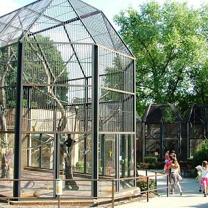 Small Primate Complex at Usti, 29/08/12