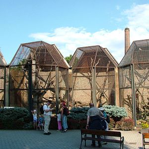 Small Primate Complex at Usti, 29/08/12