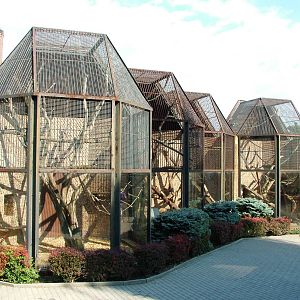 Small Primate Complex at Usti, 29/08/12