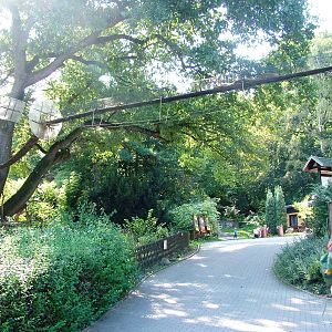Coati Bridge at Usti, 29/08/12