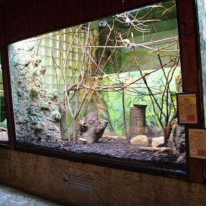 Small Mammal Indoor Exhibits at Usti, 29/08/12