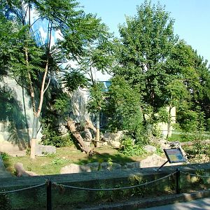 Sun Bear Enclosure at Usti, 29/08/12