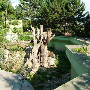 Sun Bear Enclosure at Usti, 29/08/12