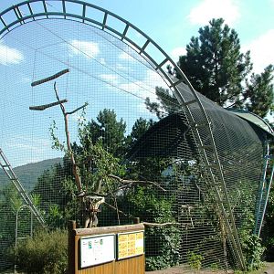 Macaw Aviary at Usti, 29/08/12