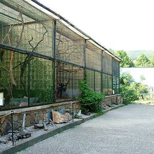 Small Mammal Enclosures at Usti, 29/08/12
