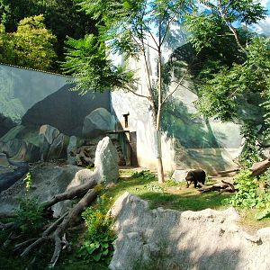 Sun Bear Enclosure at Usti, 29/08/12