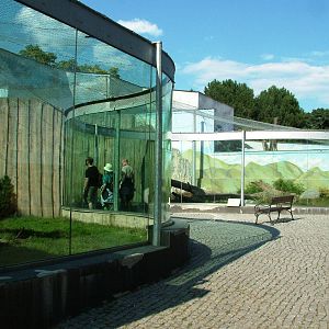 Cat Exhibits at Usti, 29/08/12