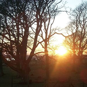 Sewerby Hall and Gardens, sunset over the clifftop paddocks 9th January 201