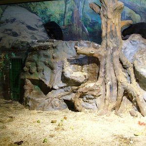 Sun Bear Indoor Exhibit at Usti, 29/08/12