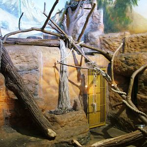 Leopard Indoor Exhibit at Usti, 29/08/12