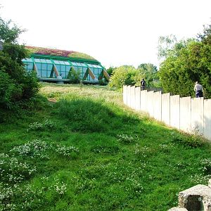 Elephant House Approach at Usti, 29/08/12