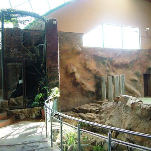 Elephant House Interior at Usti, 29/08/12