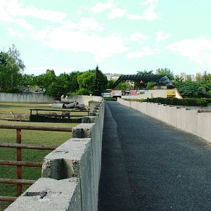 Hilltop Paddocks at Usti, 29/08/12