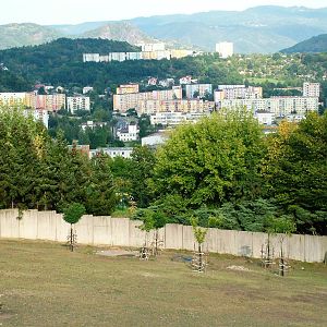 Hilltop Paddocks at Usti, 29/08/12