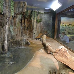 water monitor exhibit